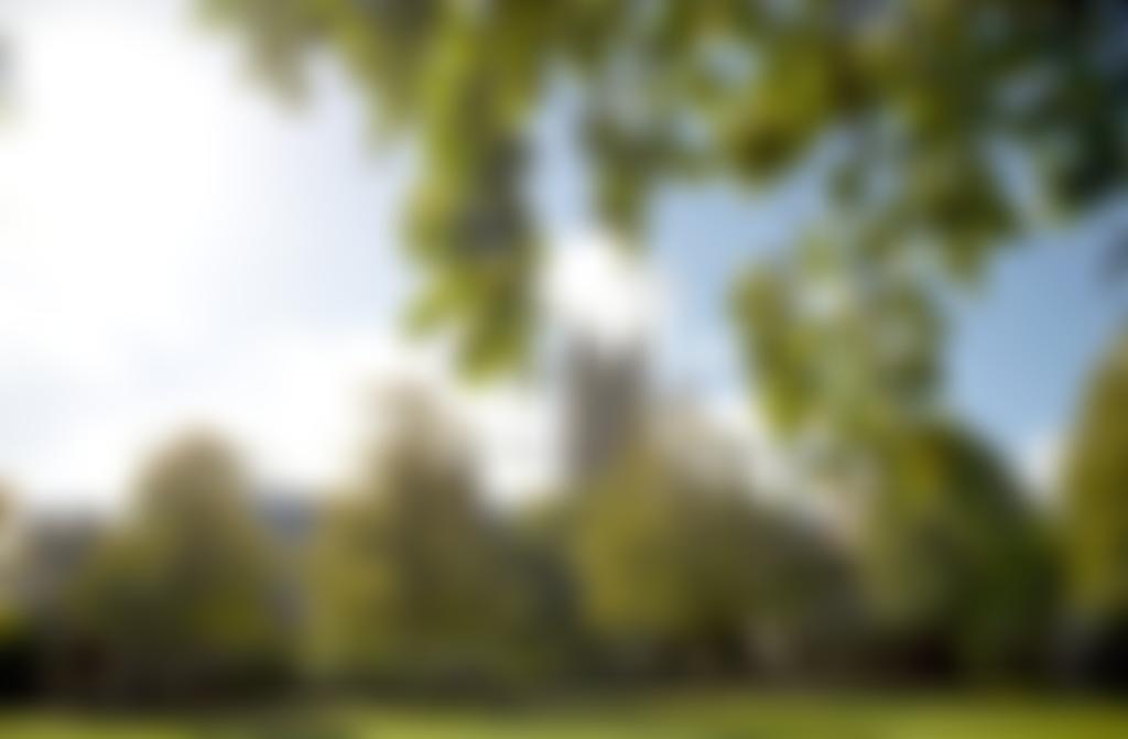 The Calvin And Rose G Hoffman Marlowe Memorial Trust | Charici