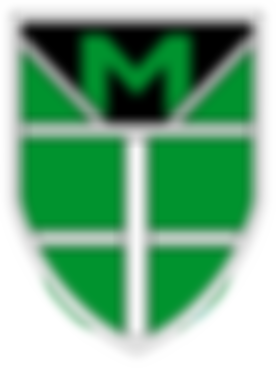 Malvern Primary School Parent Teacher Association (Pta) | Charici