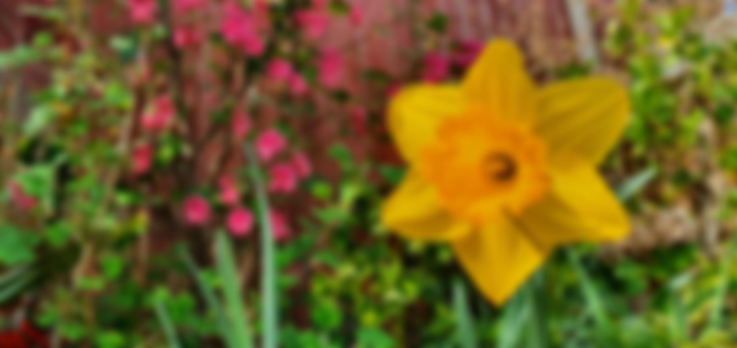 Cpre Norfolk | Charici