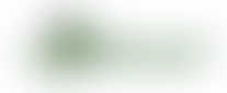 Snap Specialist Play | Charici