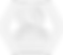 Sanjay Mortimer Foundation | Charici