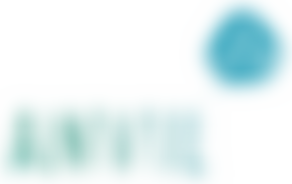 Anvil Projects | Charici