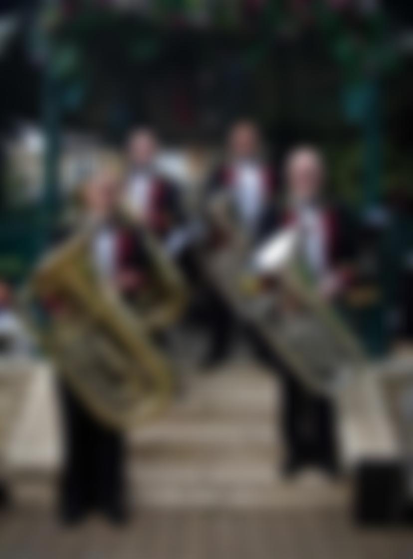 The Lindley Band | Charici