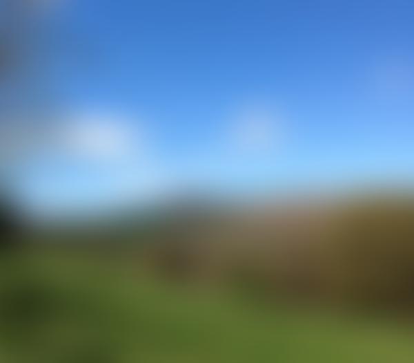 The Black Mountains Land Use Partnership | Charici