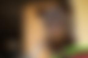 The Civet Project Foundation | Charici