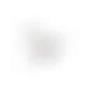 The Power Project | Charici