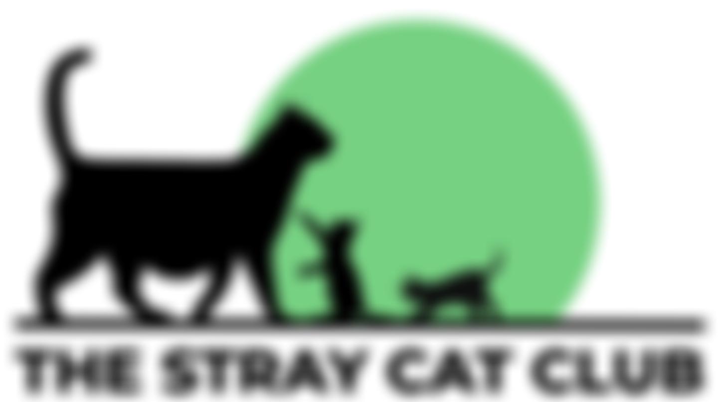The Stray Cat Club | Charici
