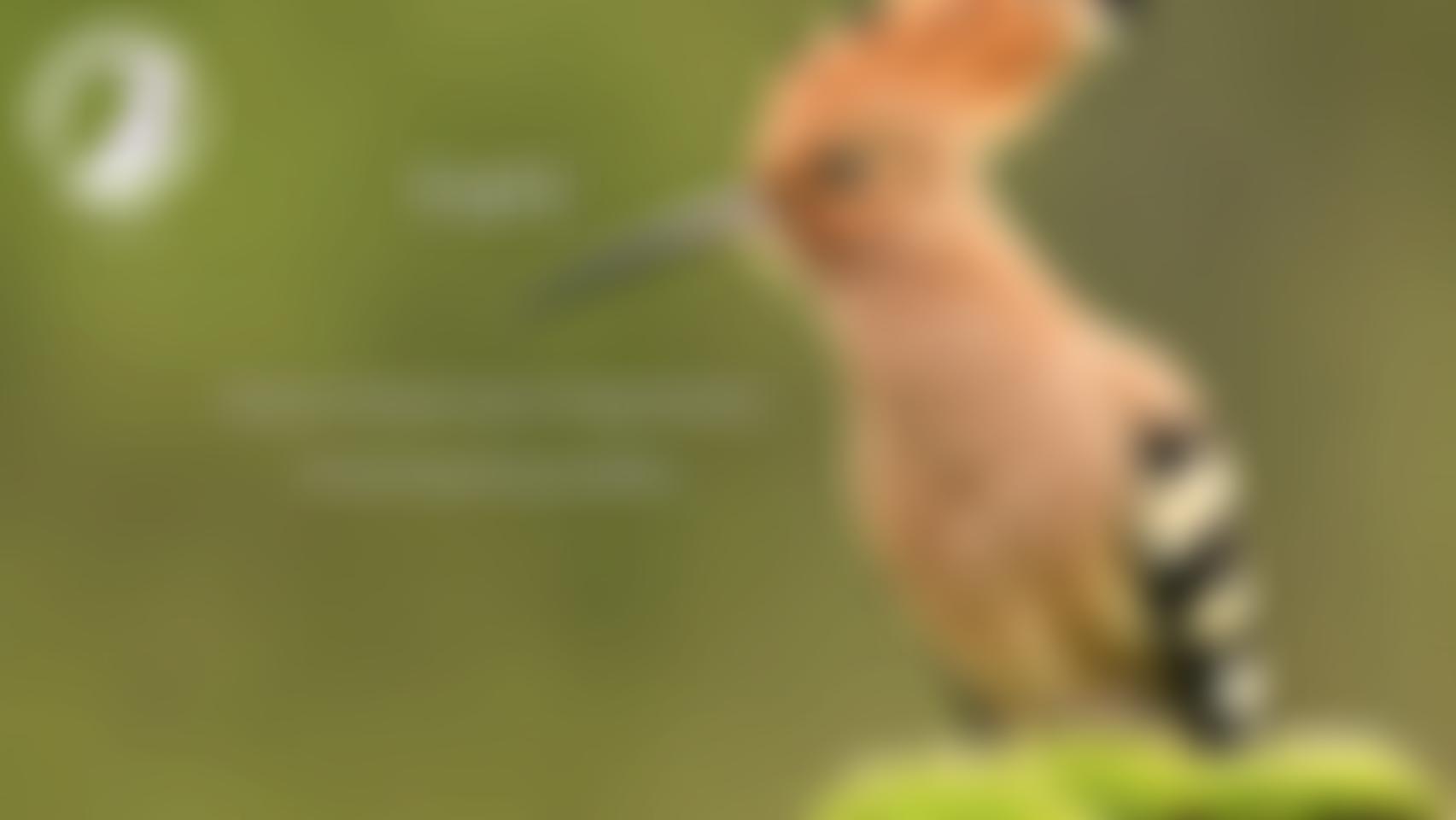 Tafu | Charici