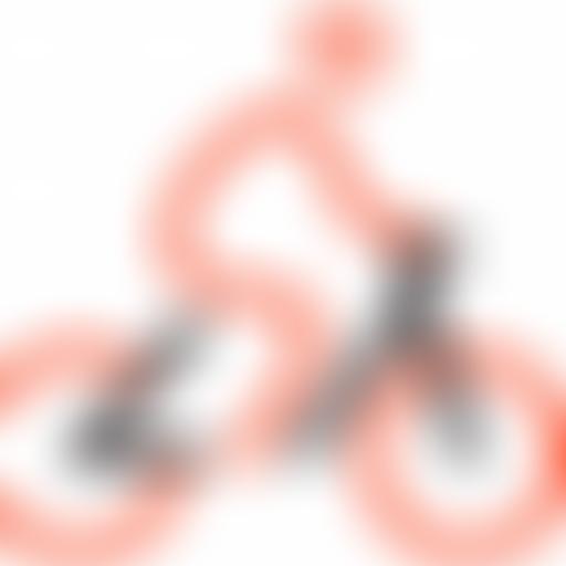 Bristol Cycling Campaign | Charici