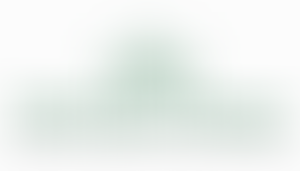 Shah Jahan Mosque Woking | Charici