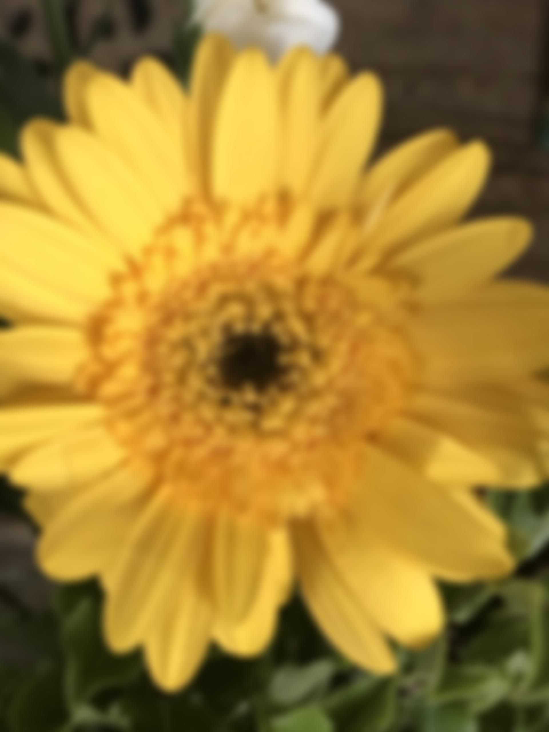 Untapped (UK) Cio | Charici