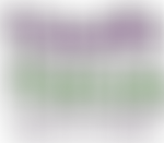 Youth Focus South West | Charici