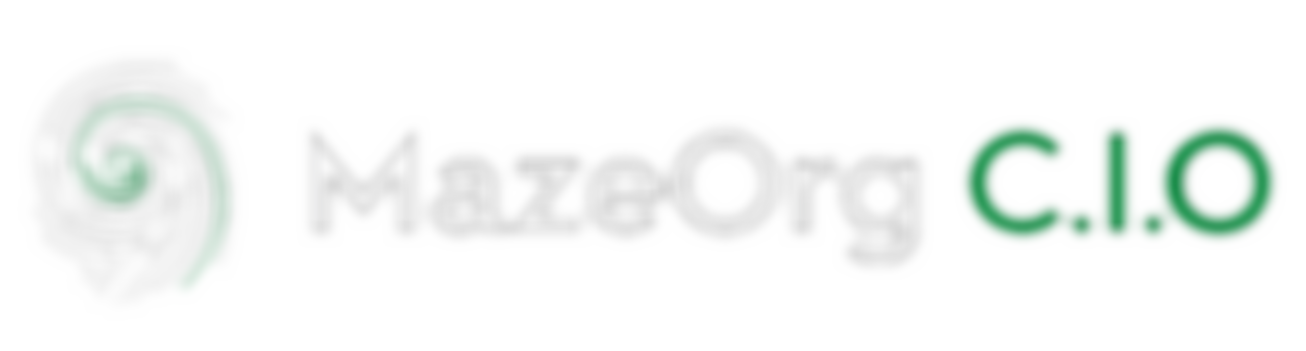 The Maze Organisation Cio | Charici