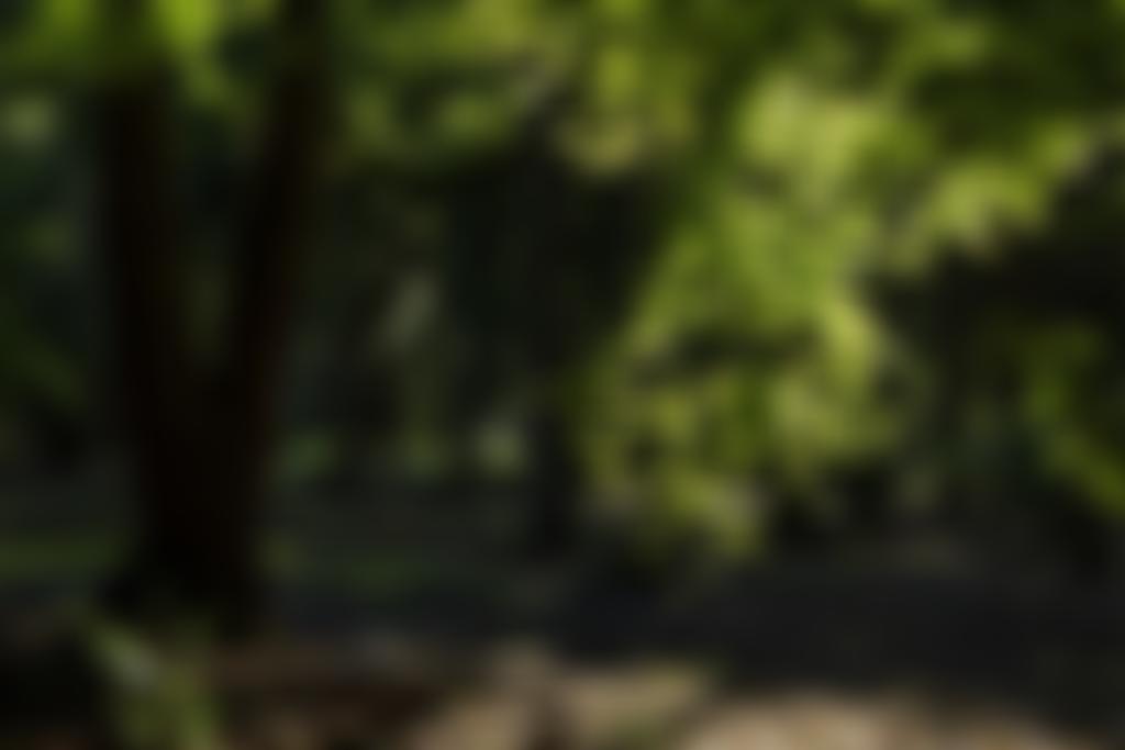 The Arts Society Wimbledon | Charici