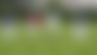 Surbiton Bowling Club | Charici