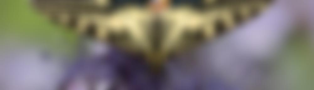 Norfolk And Norwich Naturalists' Society | Charici