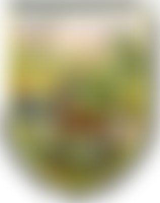 Buckfastleigh Bowling Club | Charici