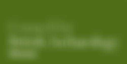 Council For British Archaeology - Wessex Region | Charici