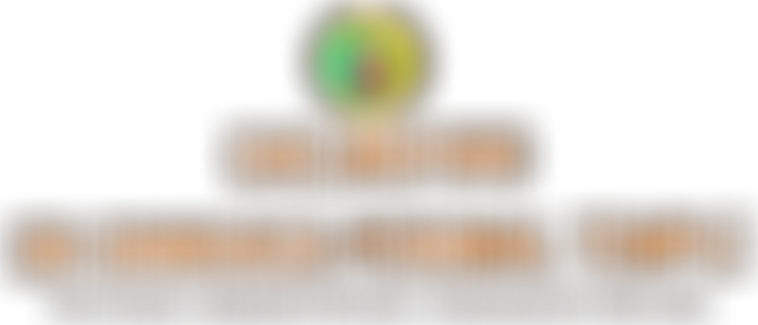 Chelmsford Srinivasa Perumal Temple Cio | Charici
