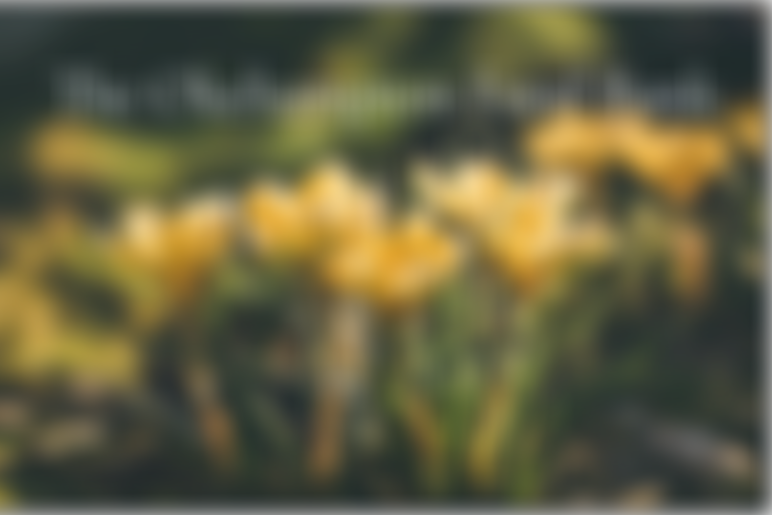 The Okehampton Foodbank | Charici
