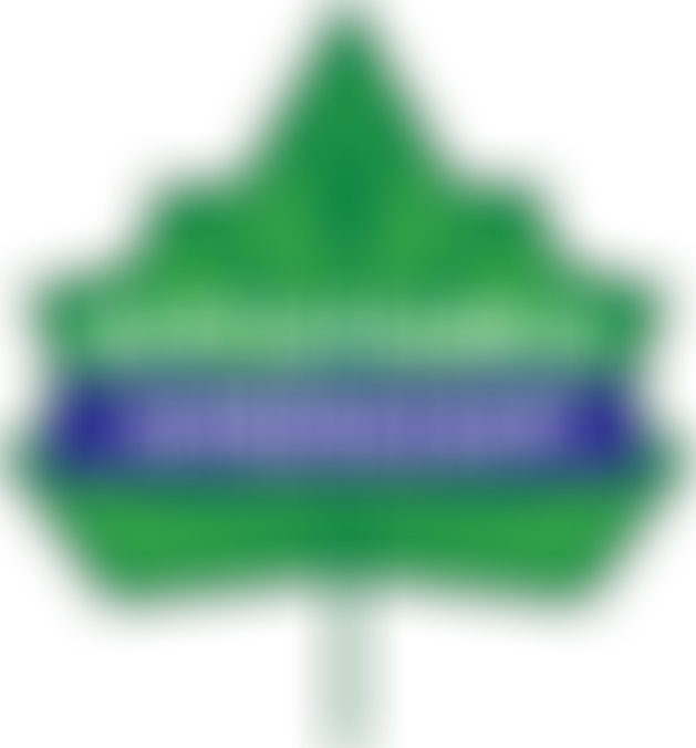 Sustainable Amersham | Charici