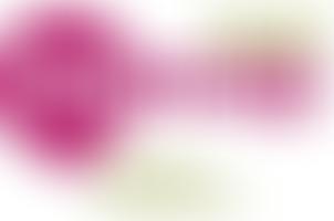 Taunton And District Mencap Society | Charici