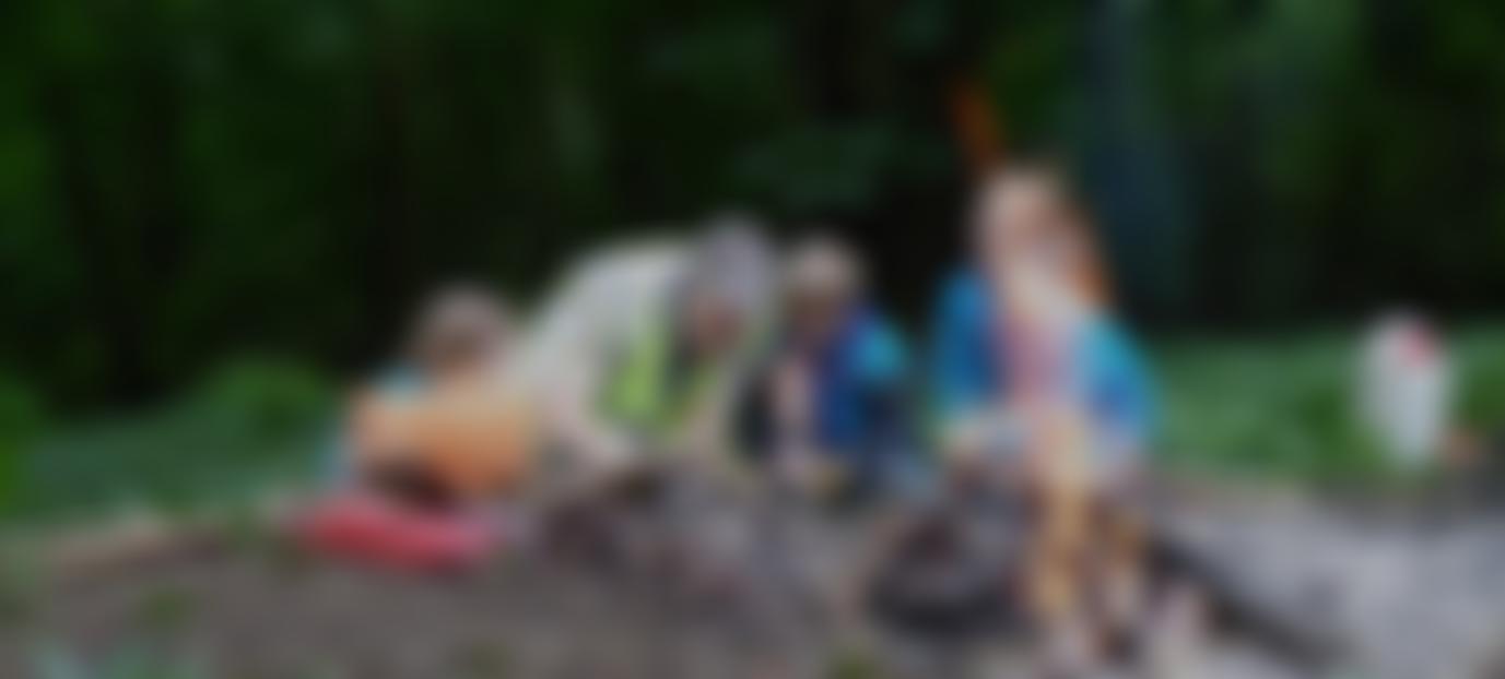 9Th Reigate Scout Group | Charici