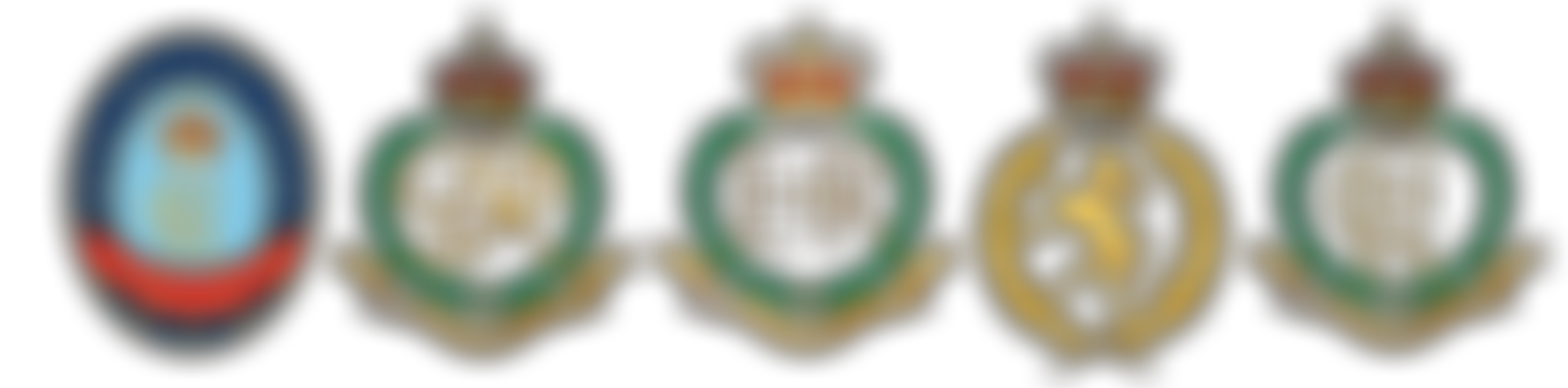 Royal Military Police Association | Charici