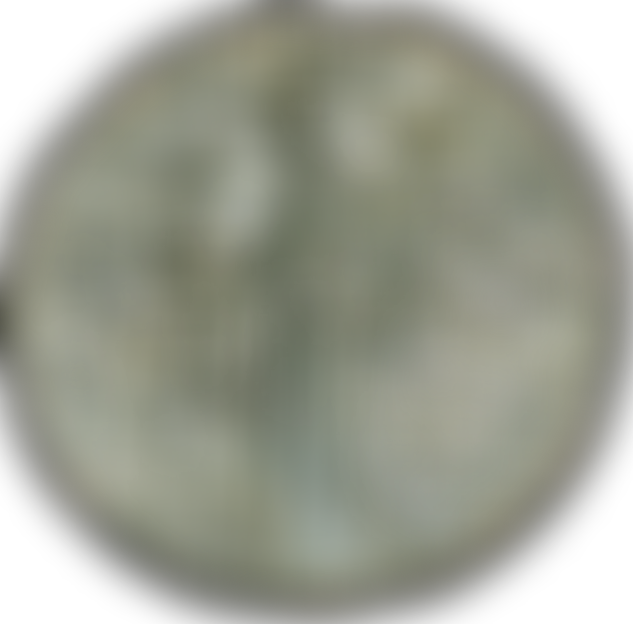 Southampton Archaeology Society | Charici