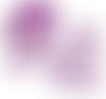 National Deaf Children's Society (East Sussex Region) | Charici