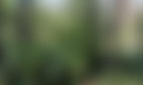 Scotton New Village Hall | Charici