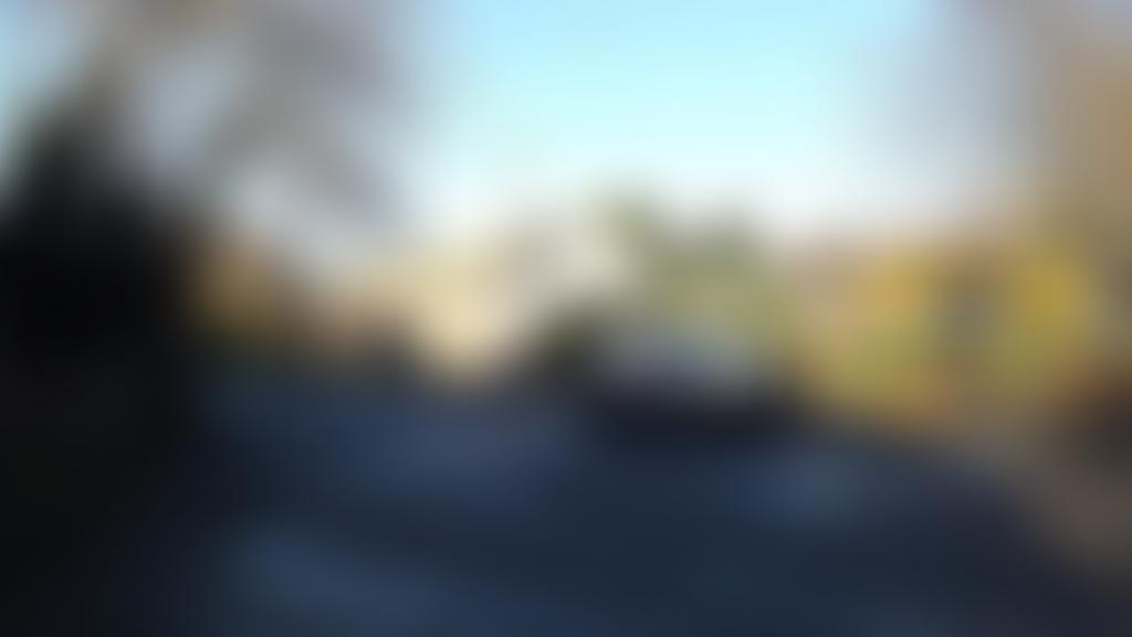 Wolviston Village Association | Charici