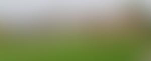 St Aidan's Community Centre Organisation | Charici
