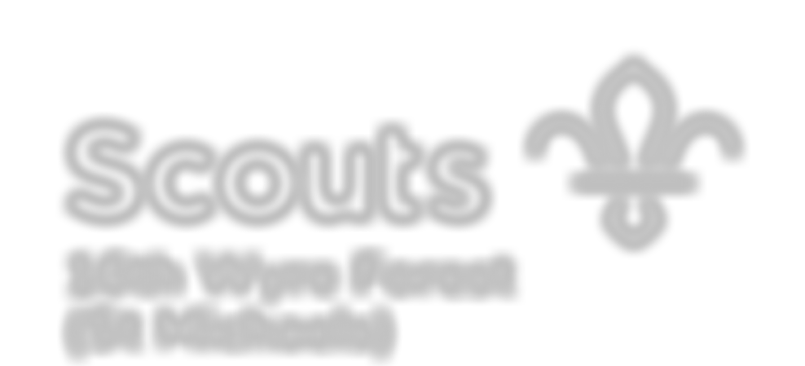 16Th Wyre Forest (Stourport St Michaels) Scout Group | Charici