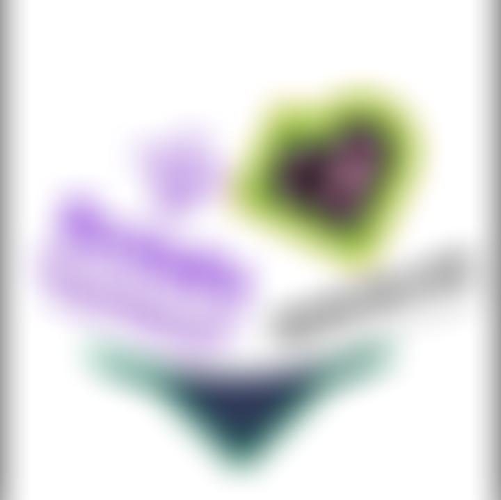 16Th Bradford South Scout Group | Charici