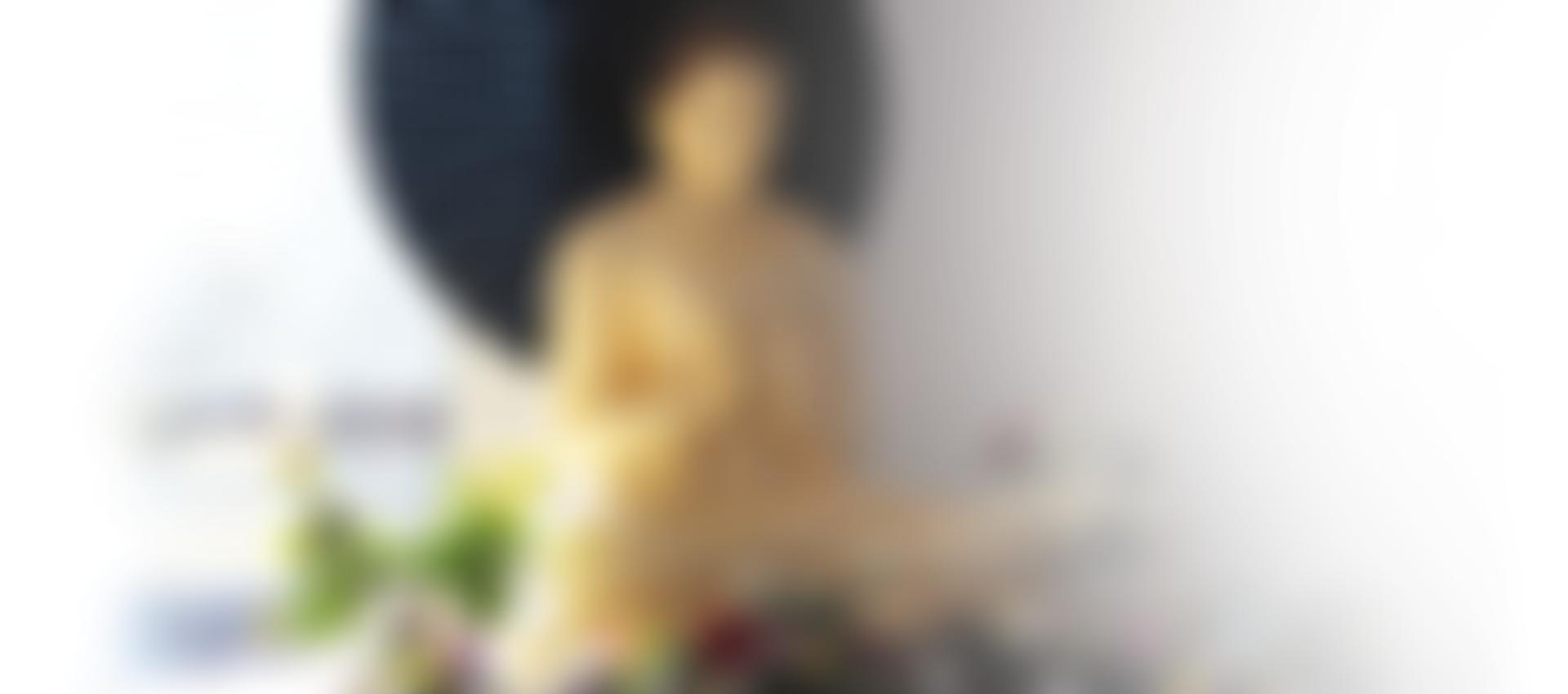 World Buddhist Foundation | Charici