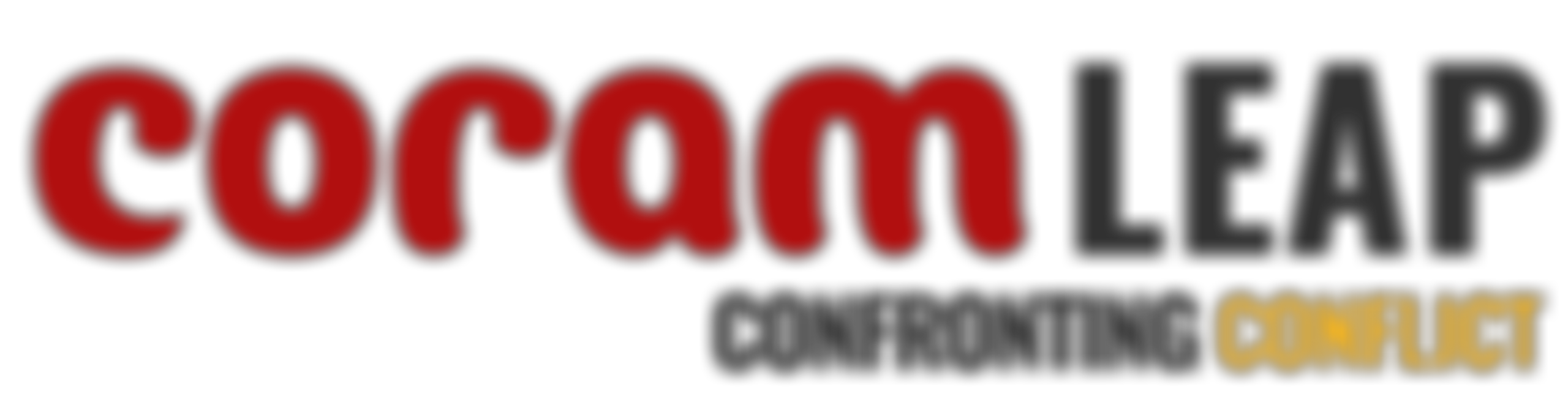 Coram Leap Confronting Conflict | Charici