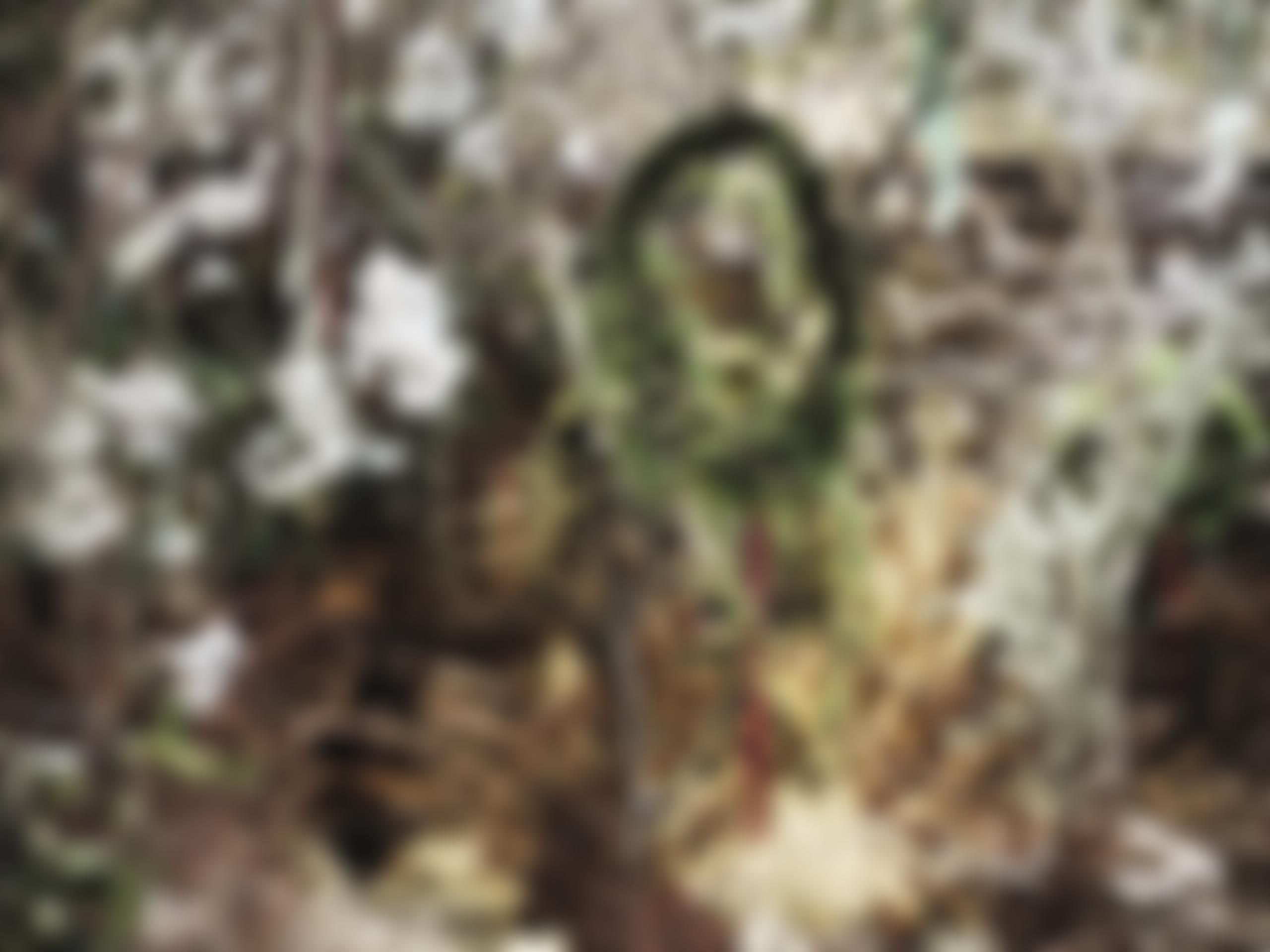 The Garden Museum | Charici