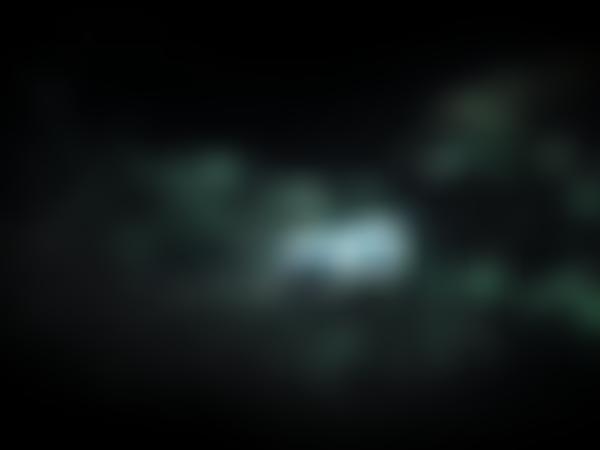 The Royal Opera House Endowment Fund 2000 | Charici