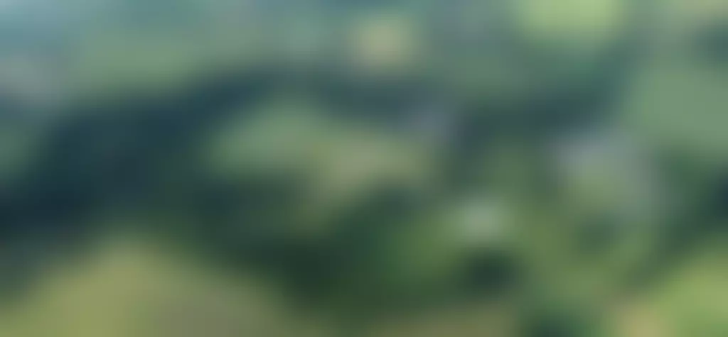 The Summer Fellowship Conference Trust | Charici