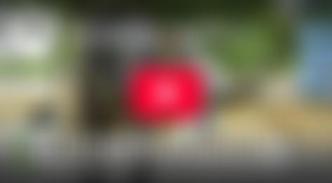 Wildlife Sos | Charici