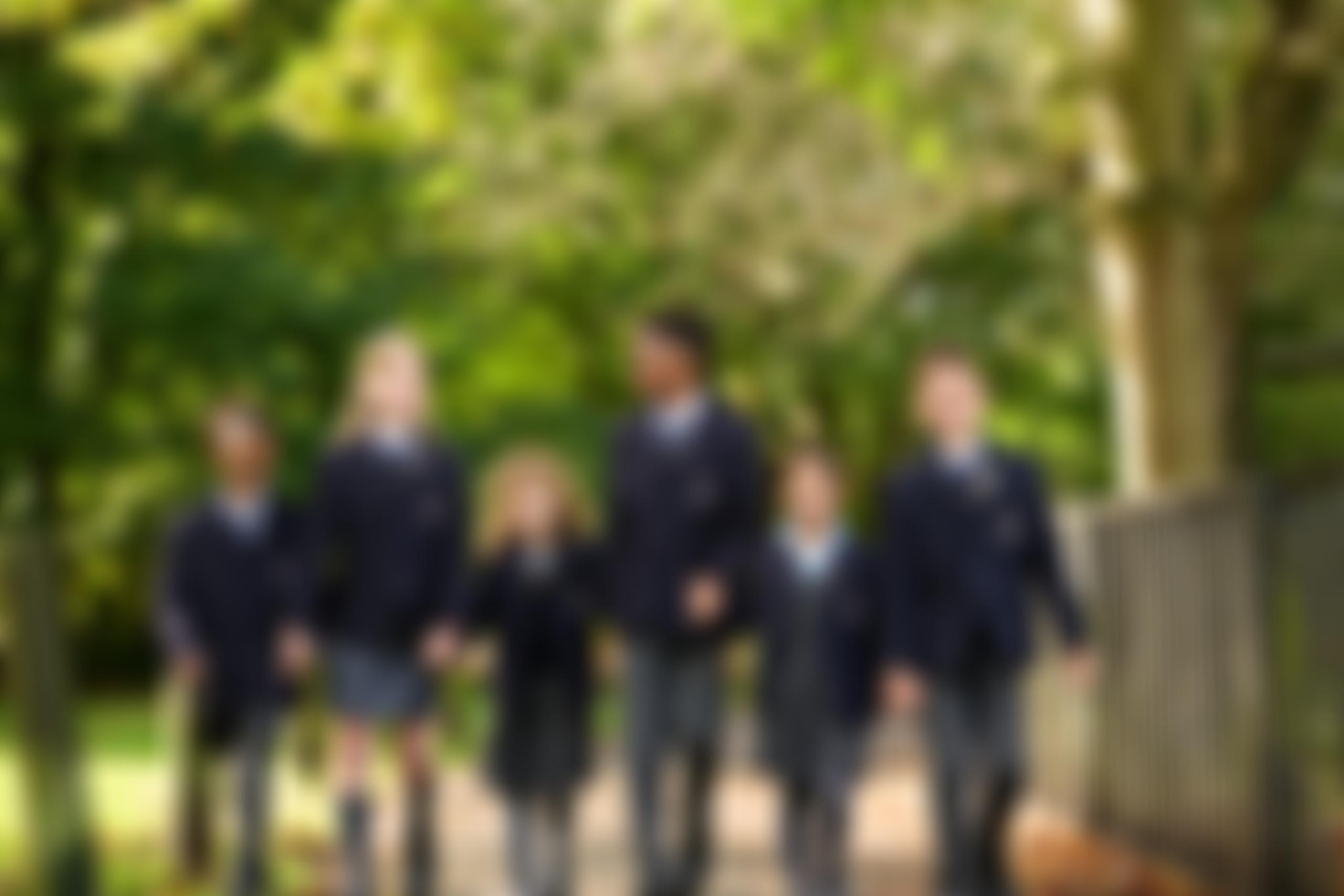Dolphin School Trust | Charici