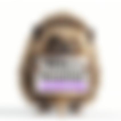 Help A Hedgehog Hospital | Charici