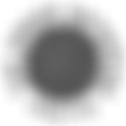 The Green Gathering | Charici