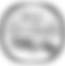 Studying History And Archaeology In Lympne | Charici