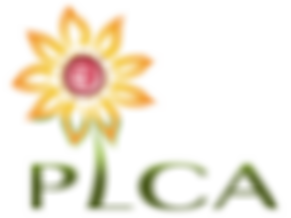 The Polish Language And Culture Association | Charici