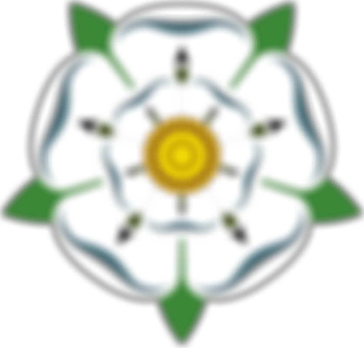 The Yorkshire Imperial Band | Charici