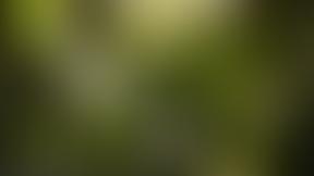 89Th Reading (Milestone Wood) Scout Group | Charici
