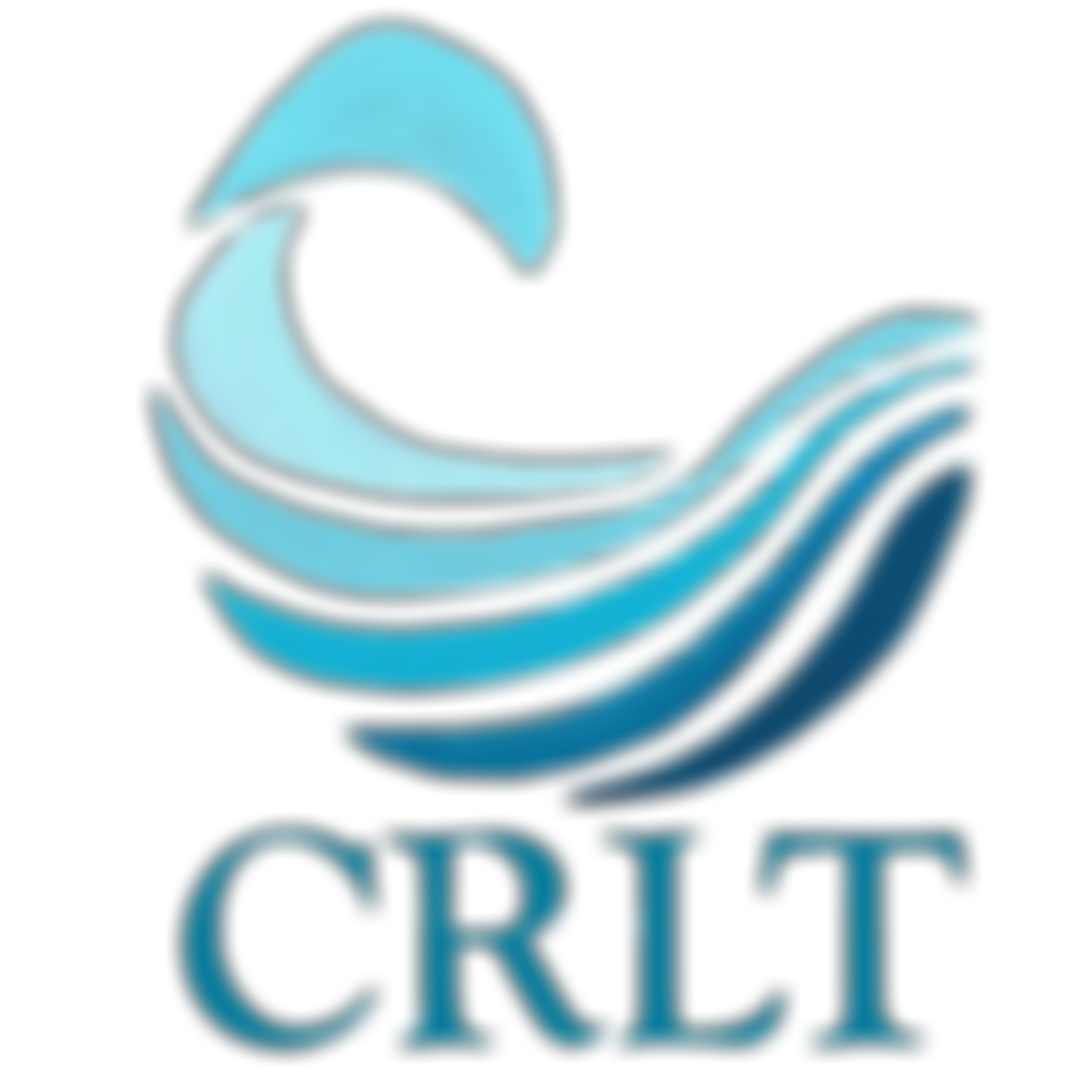 Connie Rothman Learning Trust | Charici