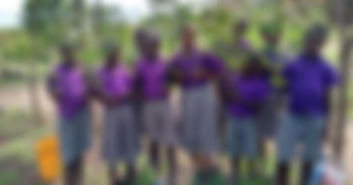 The Word Forest Organisation | Charici